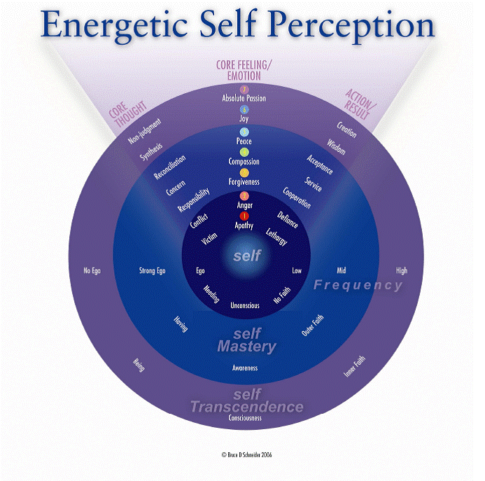 Figure 2: Energy Self Perception Chart   Source: Bruce D. Schneider: Institute for Professional Excellence in Coaching